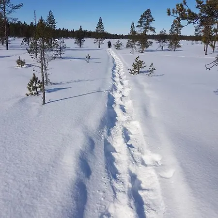 Log - Lord Of Sormuset Inari