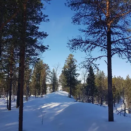 Σαλέ Log - Lord Of Sormuset Inari