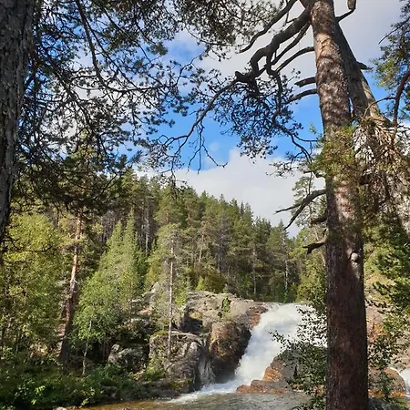 Log - Lord Of Sormuset